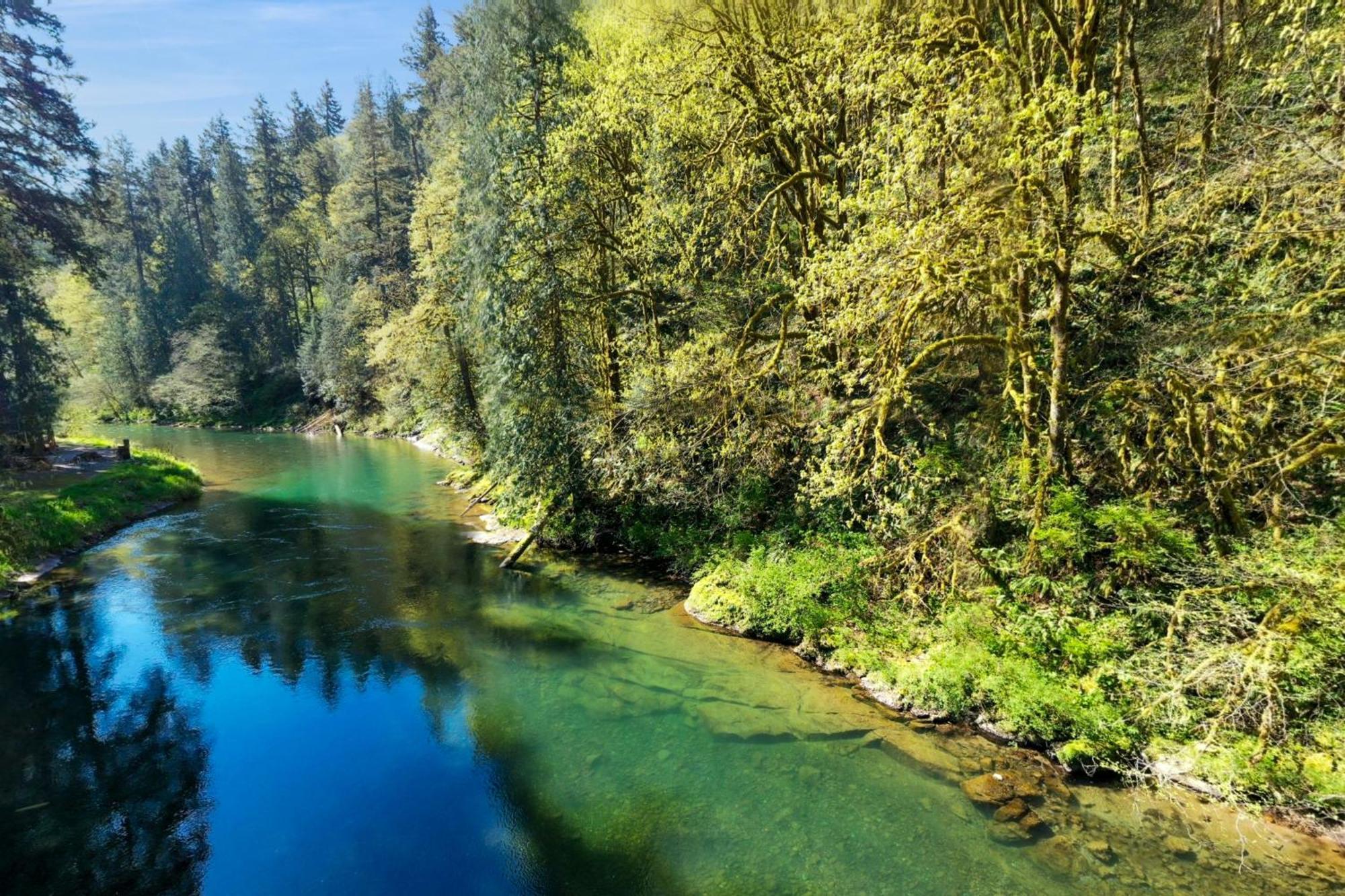 Kalama River Chalet Екстериор снимка